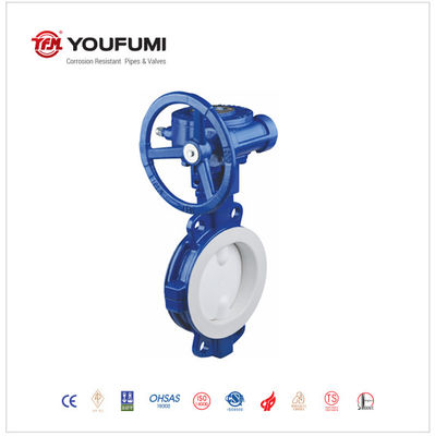 Manual PTFE Lined Butterfly Valve PN16 DN80 Wafer Type Normal Temperature